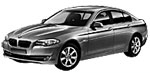 BMW F10 C1795 Fault Code
